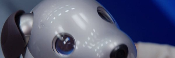 delta0401 Profile Banner