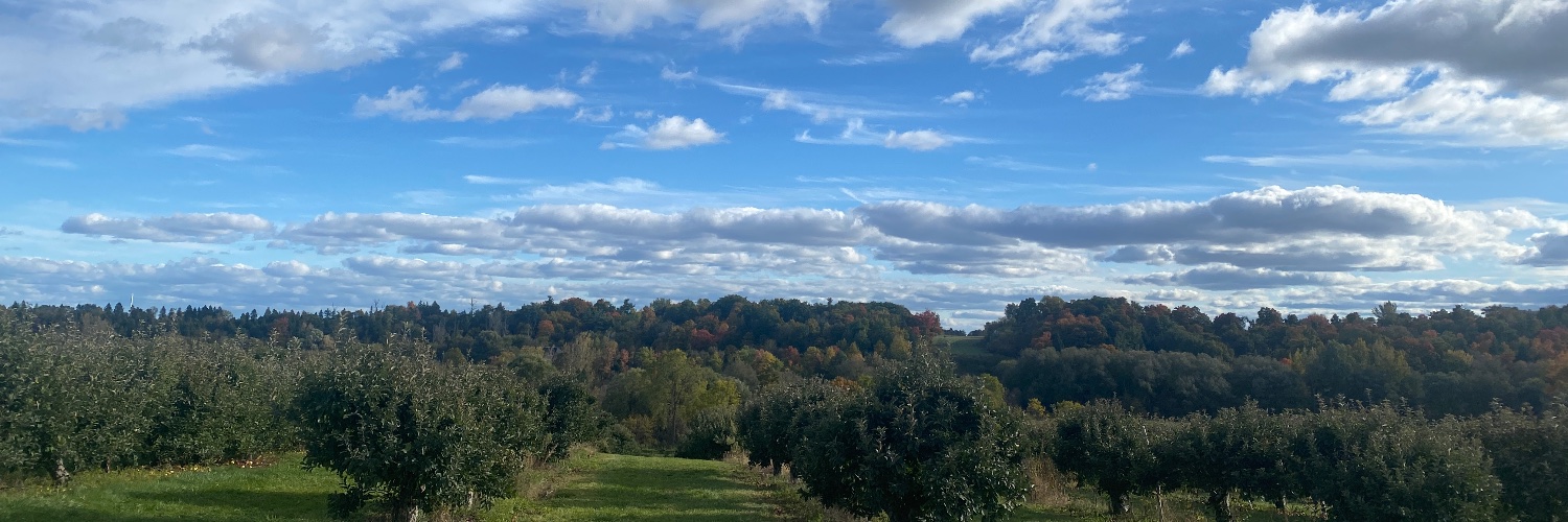 Amanpreet Dhami banner