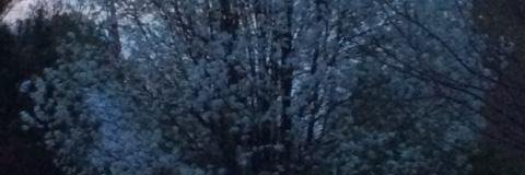 Chloesty's profile banner image