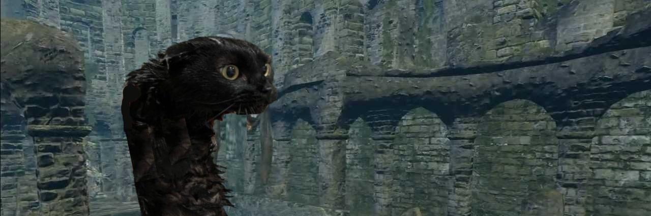 SunCi7y's profile banner image