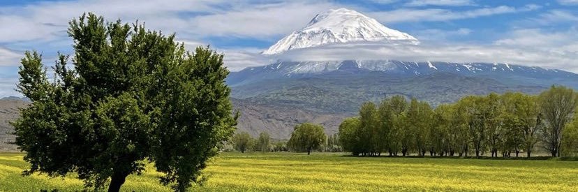 Mutlay Sayan, MD banner