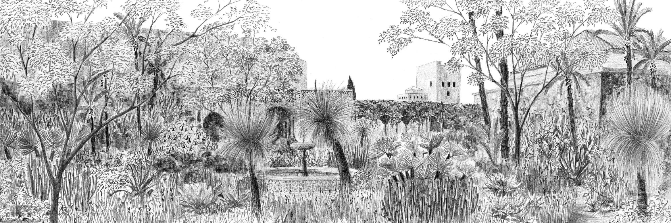 Tom Stuart-Smith banner