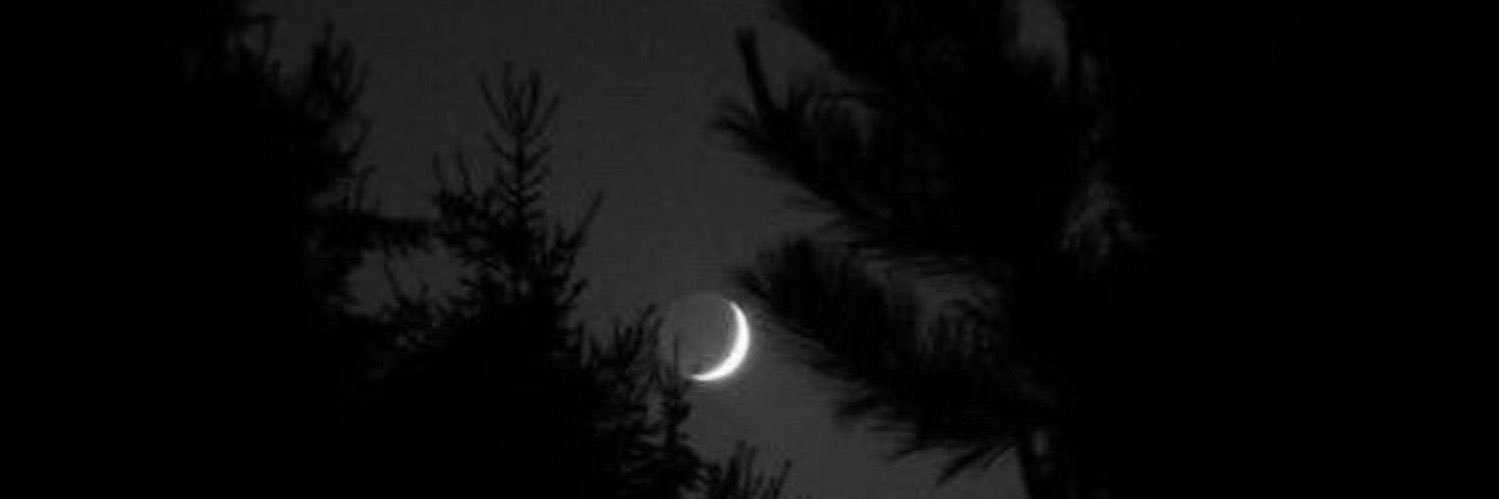 MA_Almusaed's profile banner image
