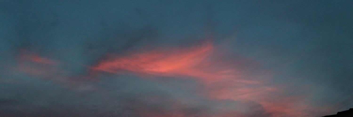 MDanielaBasile's profile banner image