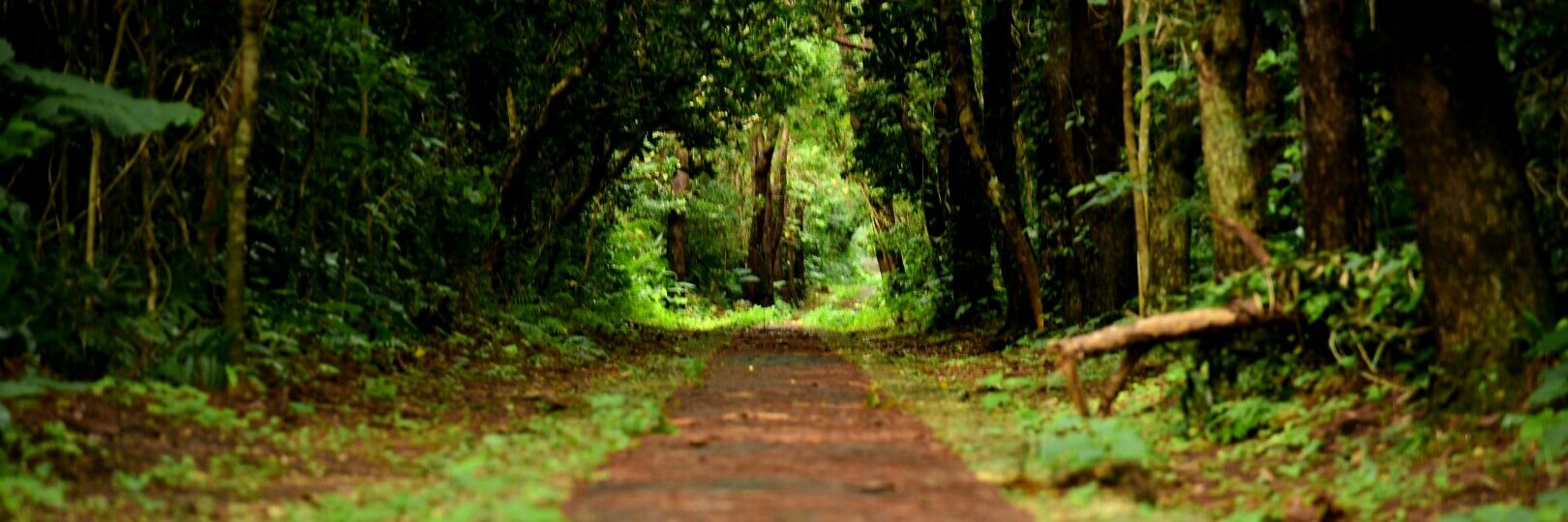 TAKAHIRO@baby_face_1107 banner