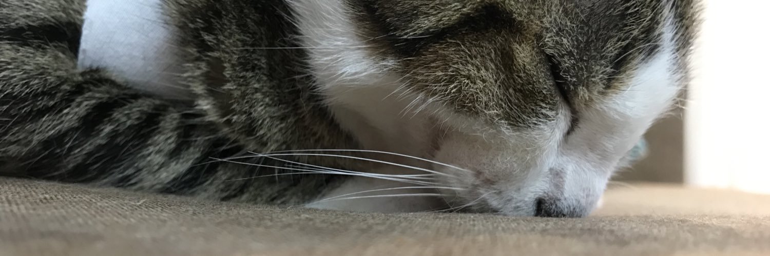 MotaDriely's profile banner image