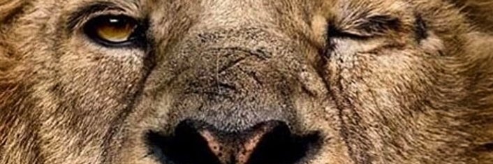 Bruno_Potenta's profile banner image