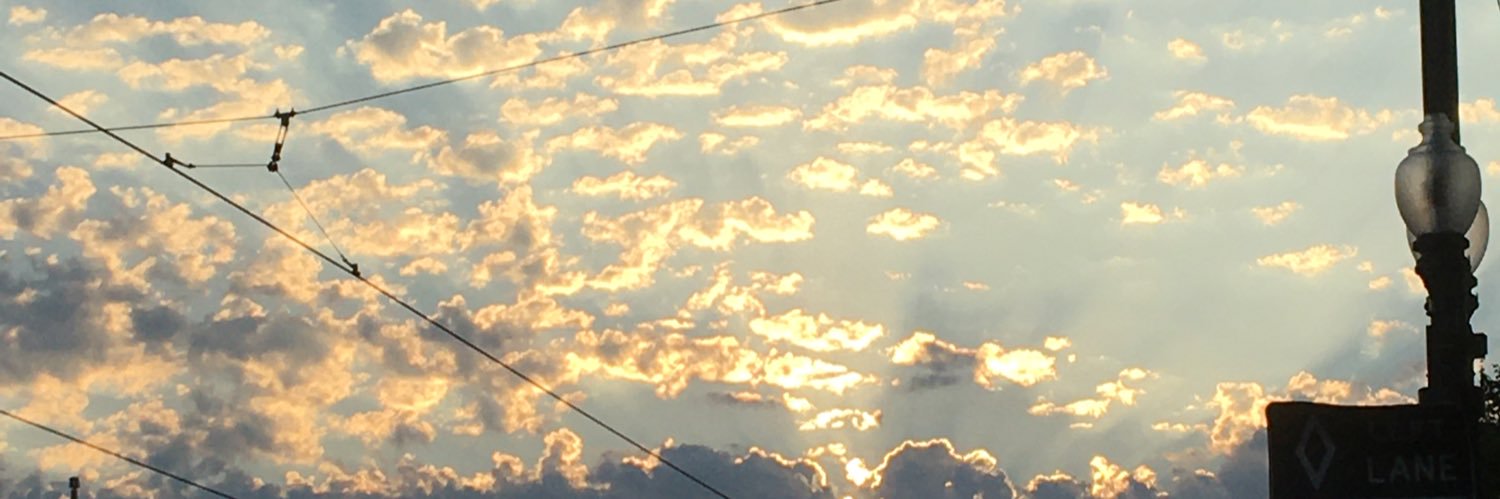Chell_Rosewood's profile banner image