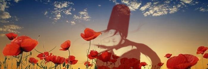 Wild_Coquelicot's profile banner image