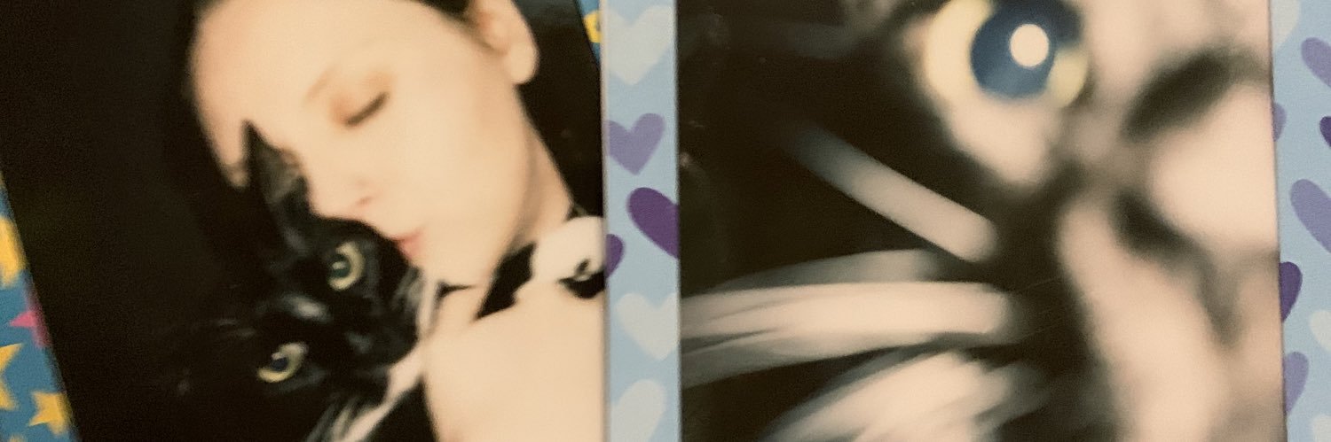 WescovichBree's profile banner image