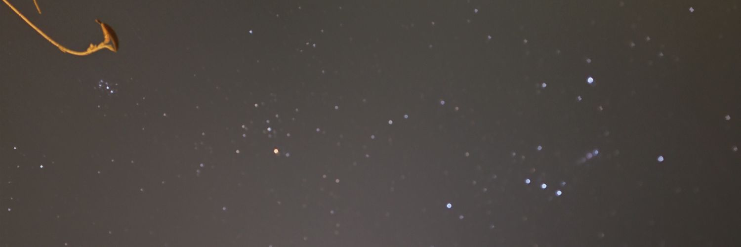 icepp1997's profile banner image