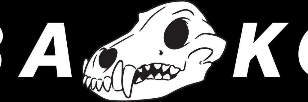 Shauhin Davari banner