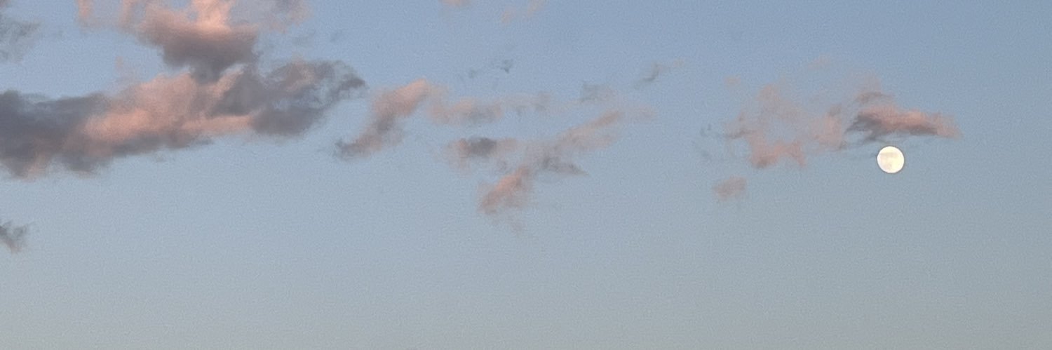 n. banner