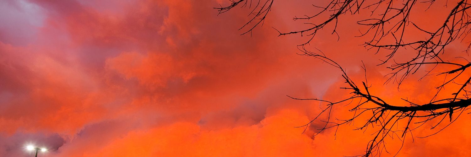 lildyl214's profile banner image