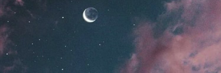 tainahelmich's profile banner image