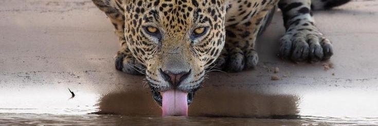 Omg_isTher banner