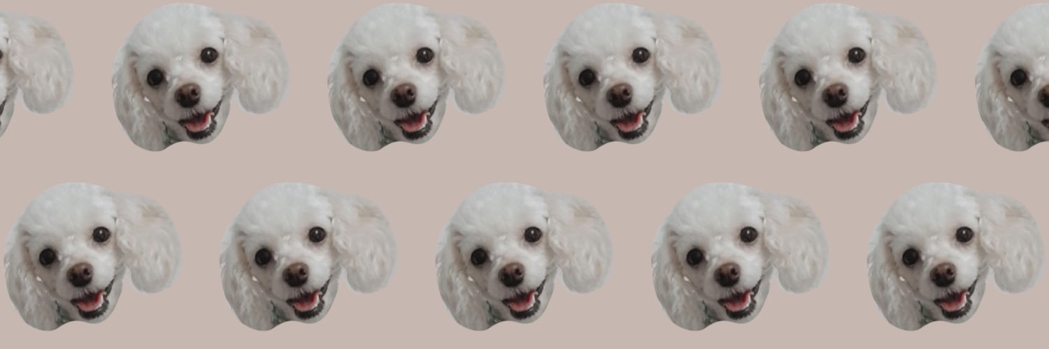 Zulyng17's profile banner image