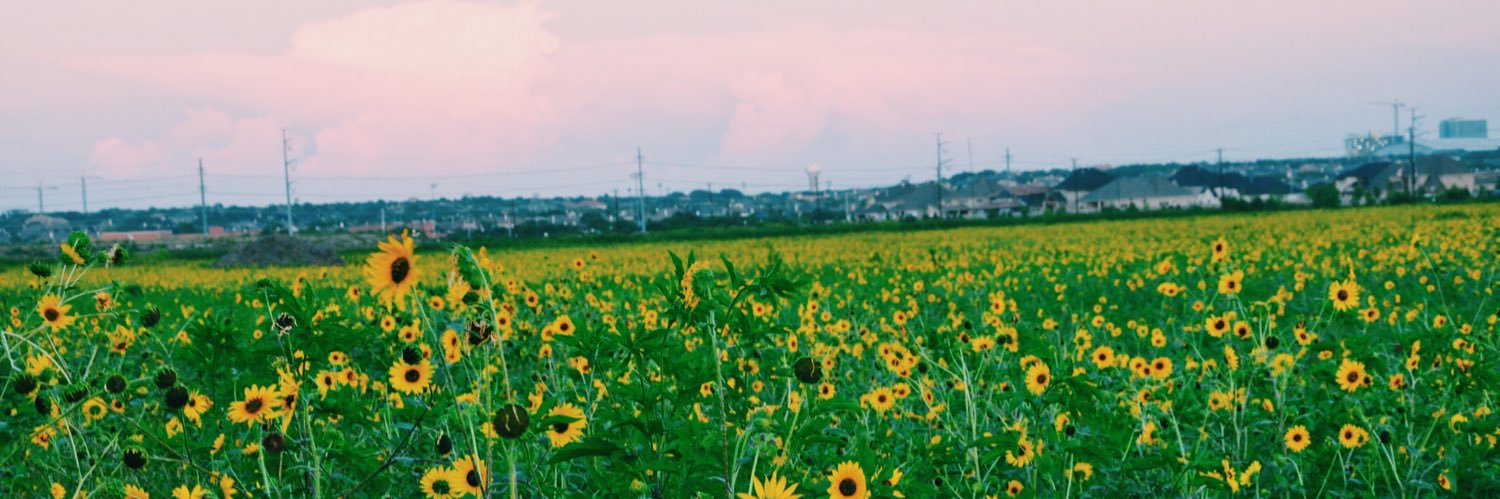 mitchellMMCG's profile banner image