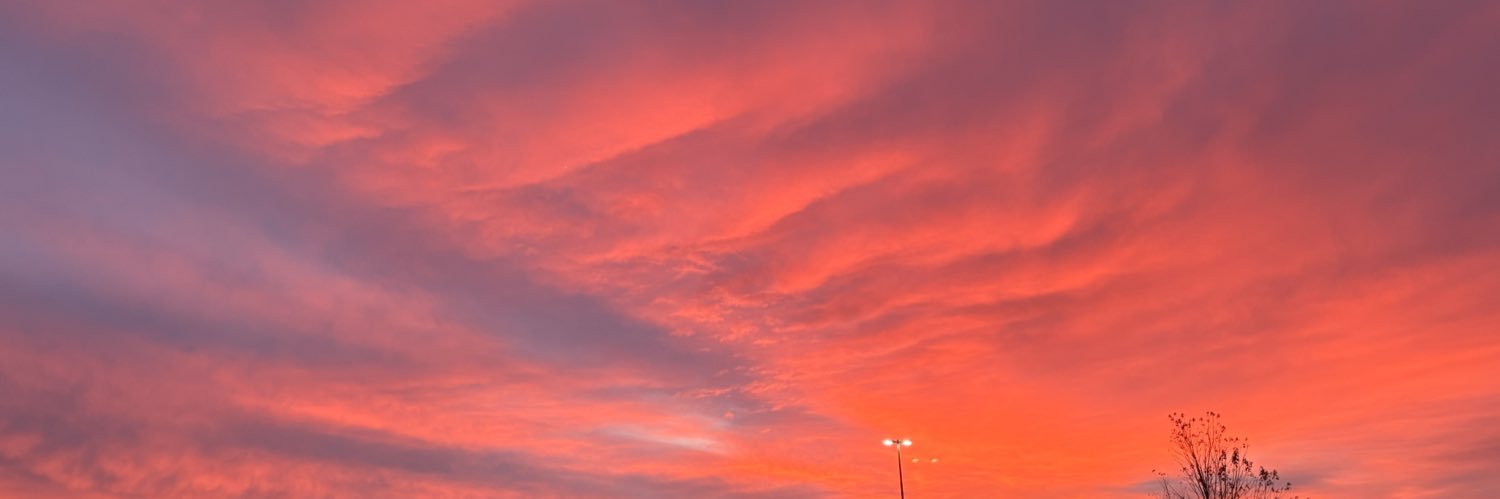 Sydney_Anne11's profile banner image