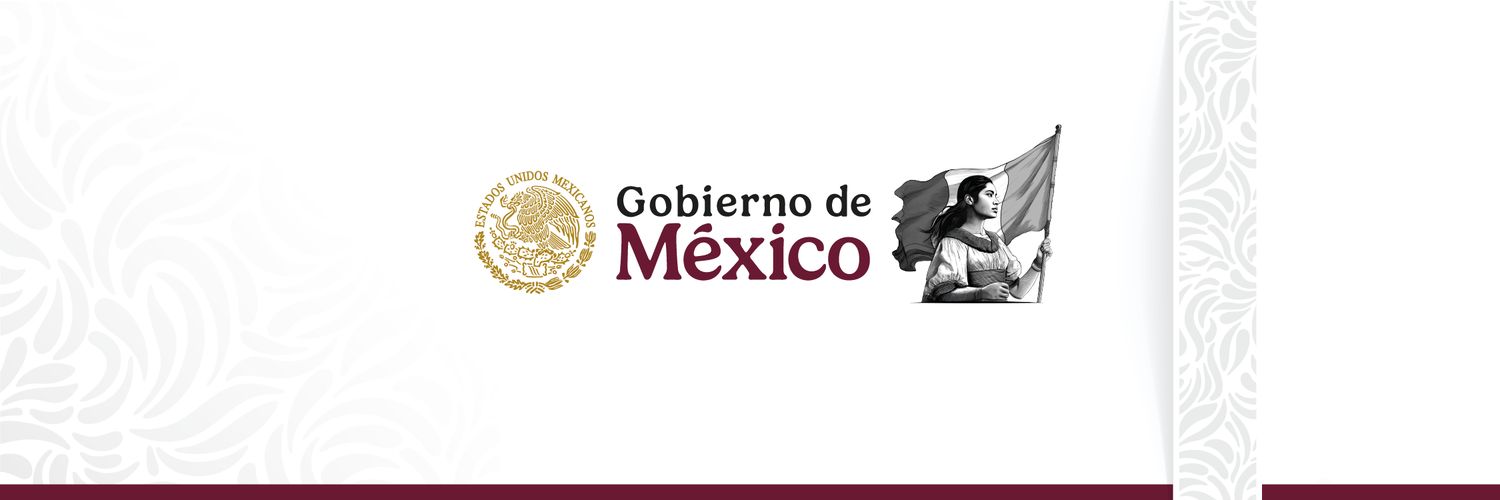 Katia Meave Ferniza banner