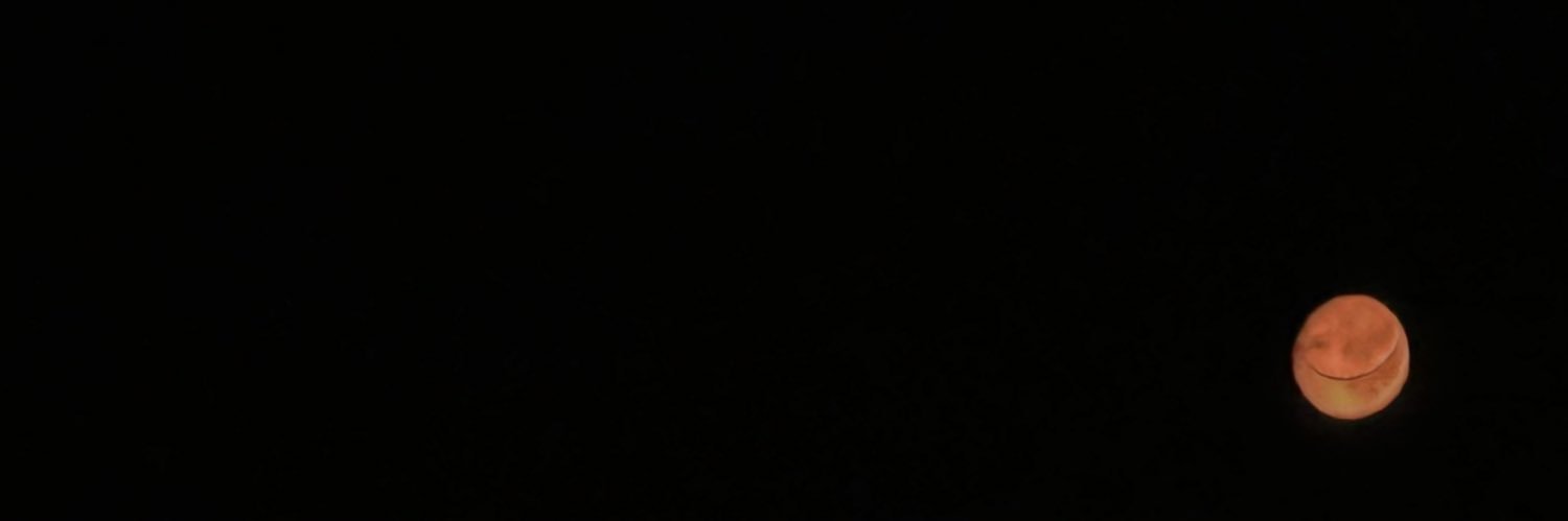 maadisonnw's profile banner image