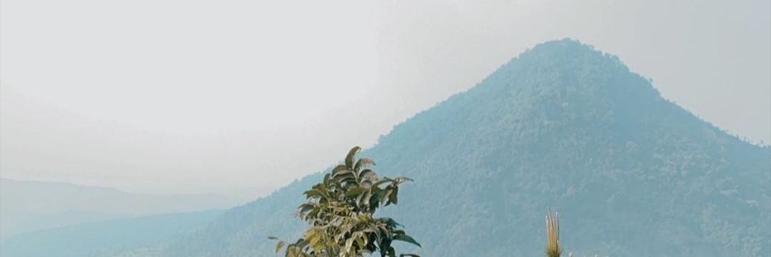 naafny's profile banner image