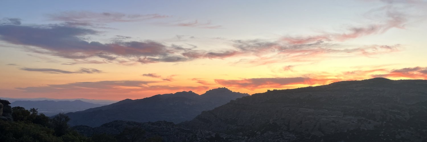 Poetic Solomon banner