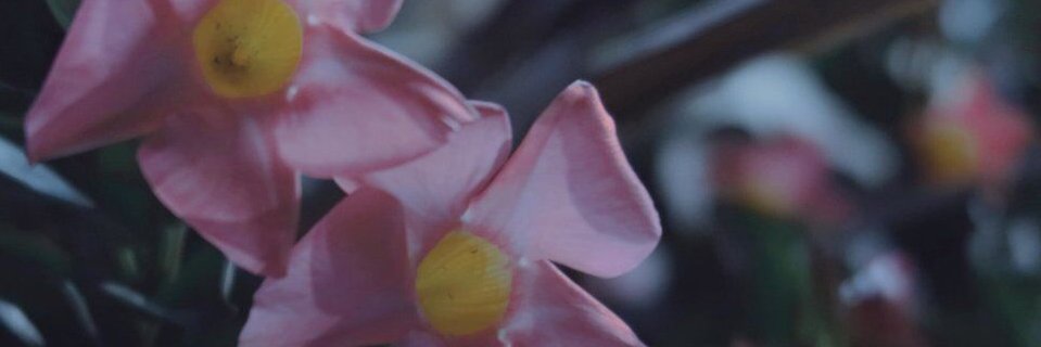 Nagi's banner