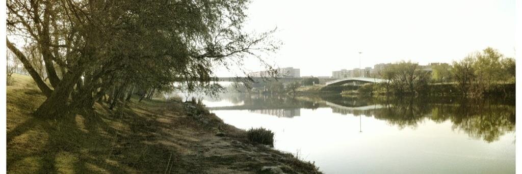 Fernando Val 🔻🇵🇸 banner