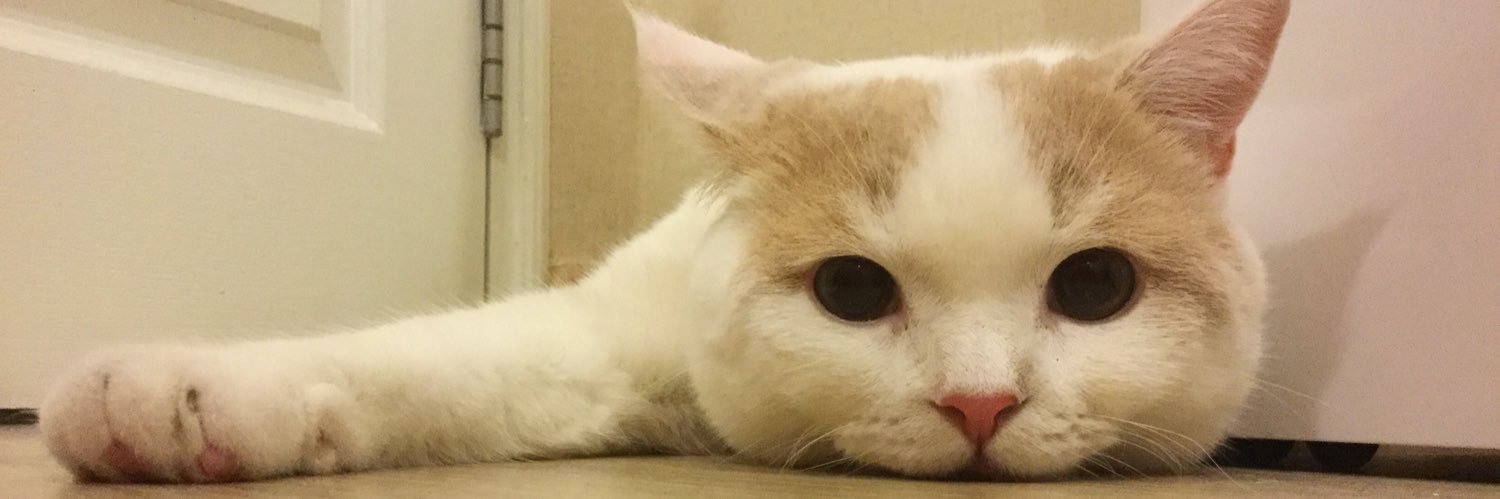 aommiedent's profile banner image