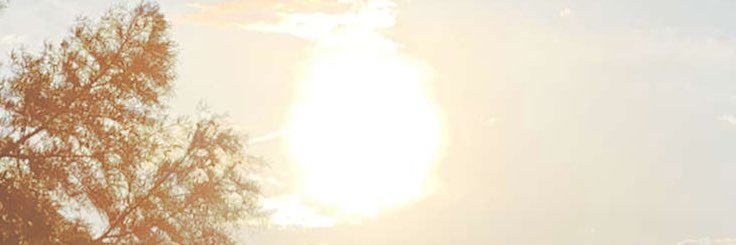 blakebruketta's profile banner image