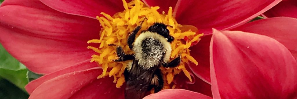 binagogina's profile banner image