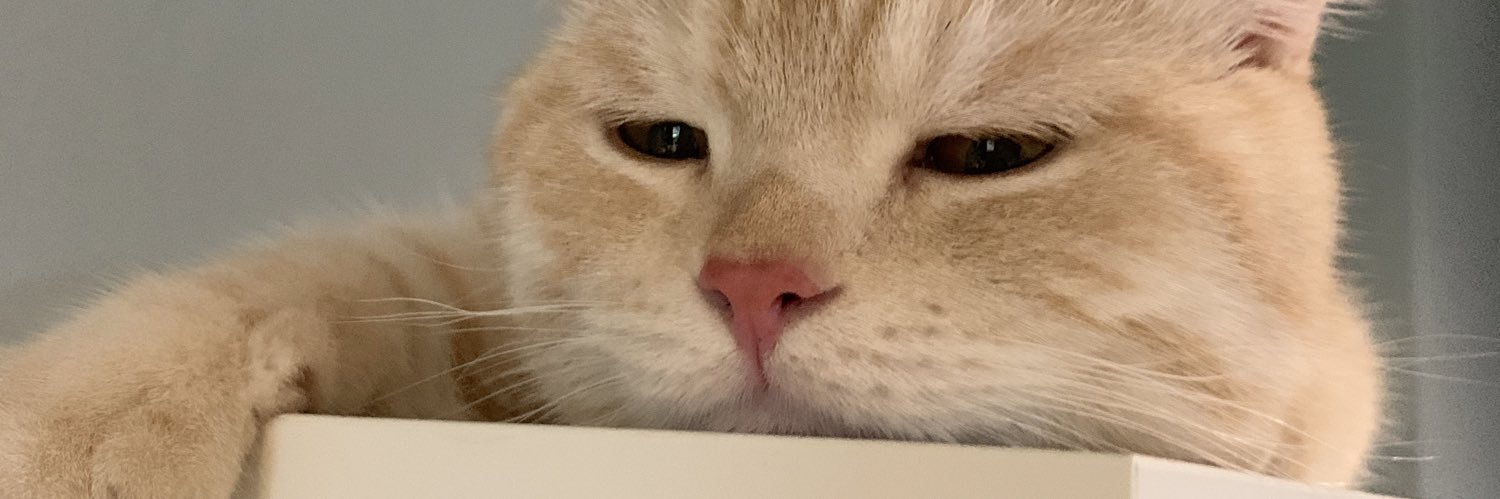 𝕖𝕢𝕩. banner
