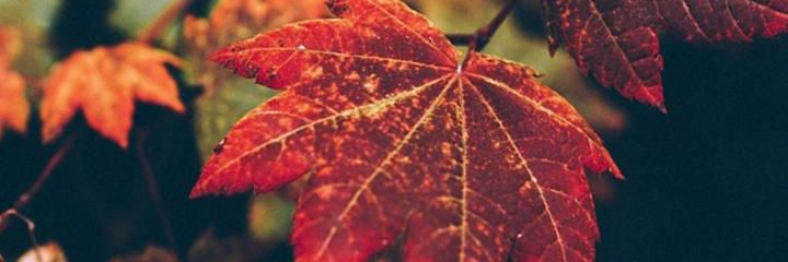 Suresh2Palani's profile banner image
