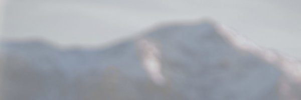 _phoenixnicole Profile Banner