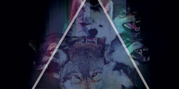 Amateur Company banner