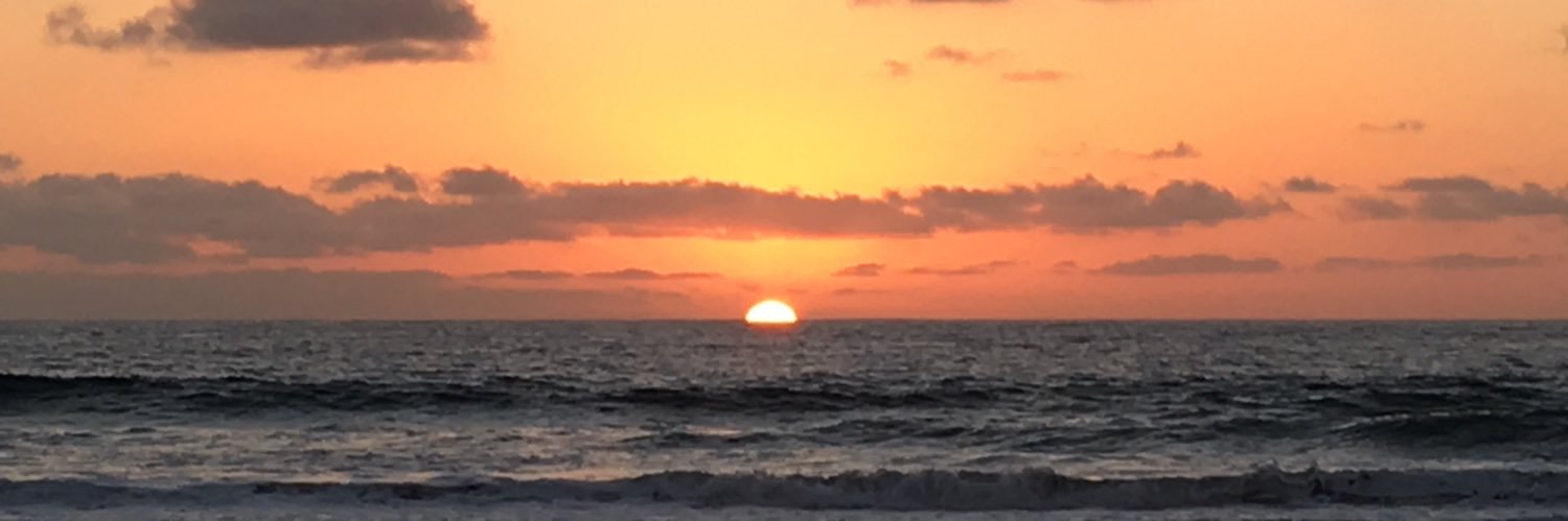 jovenator65's profile banner image
