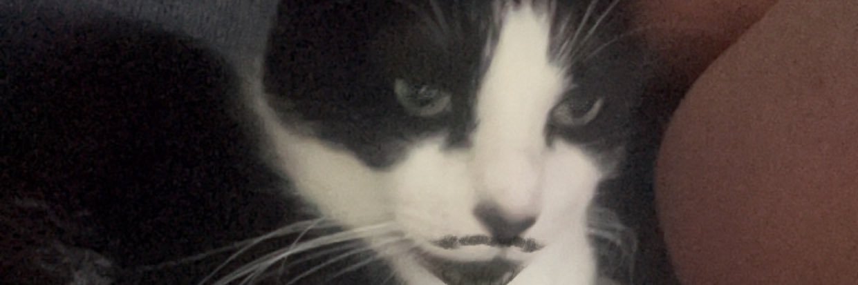 sadayday_12's profile banner image