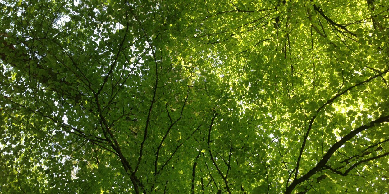 McMathPatrick's profile banner image
