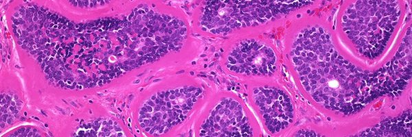 edinpath Profile Banner