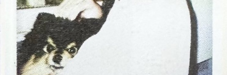 eip🧸 banner