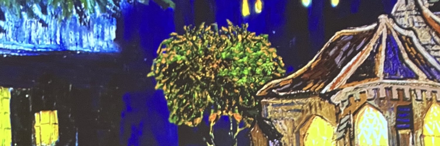 ilaydaermiss's profile banner image