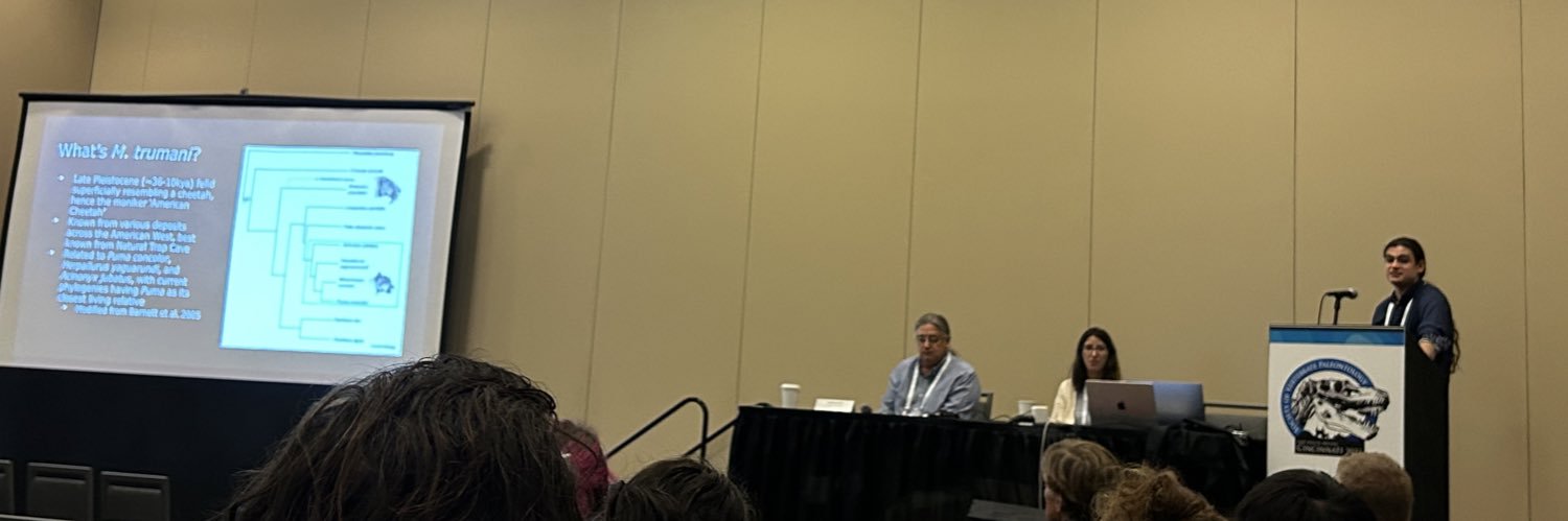 Tony Hotchner banner