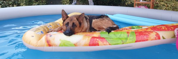 mastermaxify Profile Banner