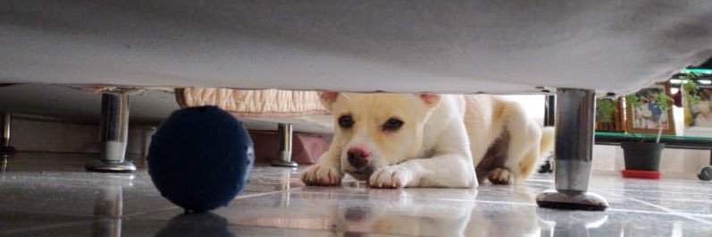 Aura N. Guzmán Q. 💙 banner