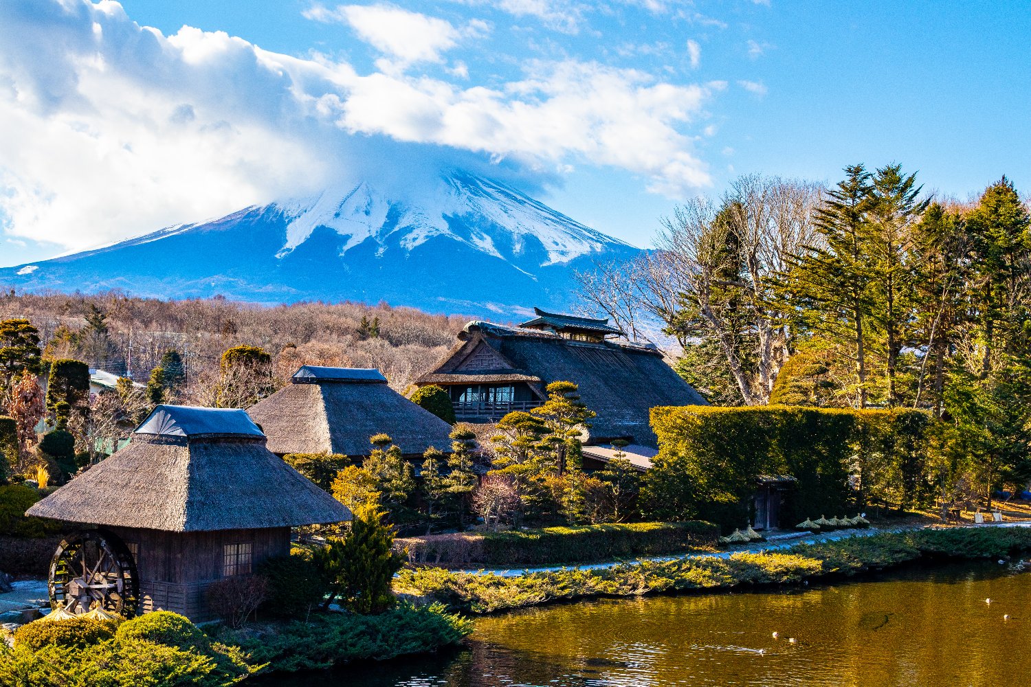 pya3_jp's profile banner image