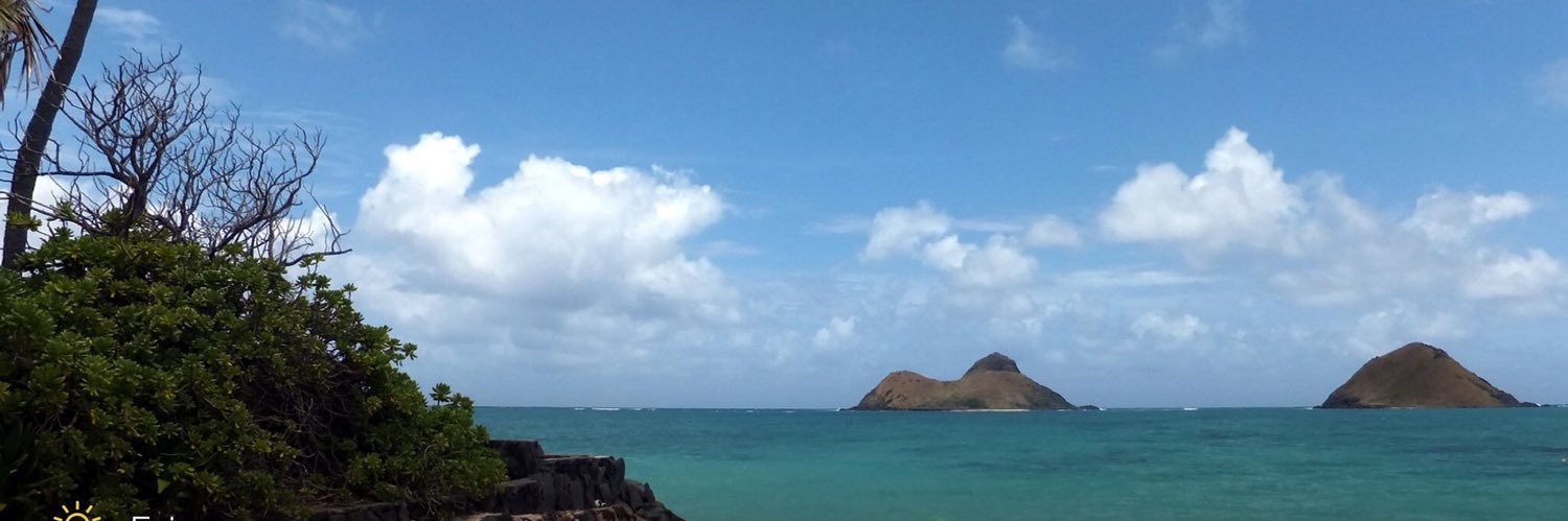 #CapTimMess☮️ banner