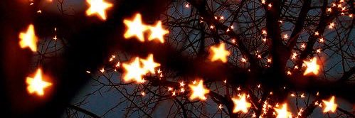 mara 卌 I FEEL EVERYTHING banner