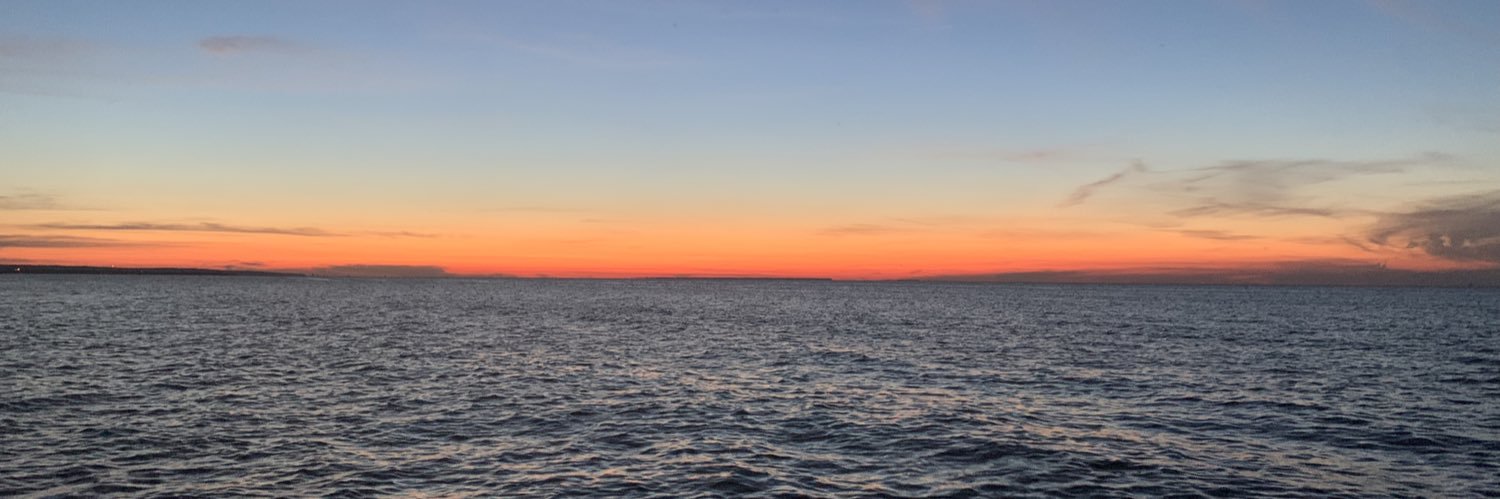 HollyDobbing's profile banner image