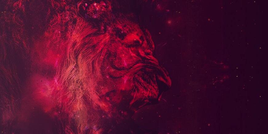 The Beast Project banner